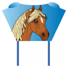 Obrázek