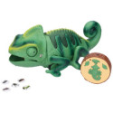 Obrázek