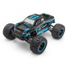 RC Monster Trucks